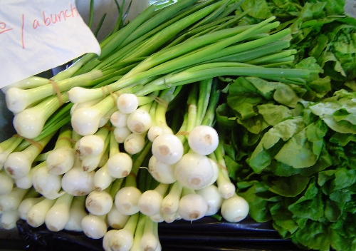 SpringOnions